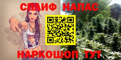 apvp Нарткала