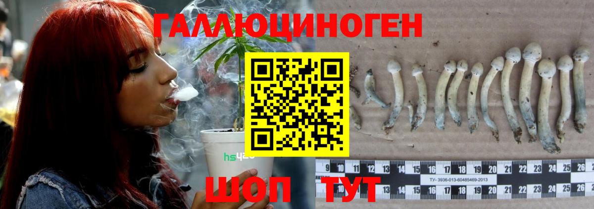 Псилоцибиновые грибы MAGIC MUSHROOMS  Вход с VPN  Саров 